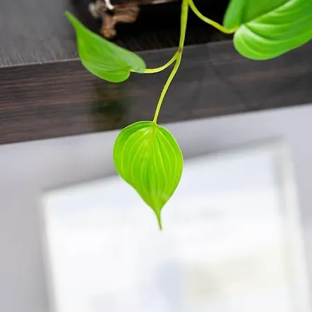 Atico Coqueto En Marbella, Cerca Puerto Banus