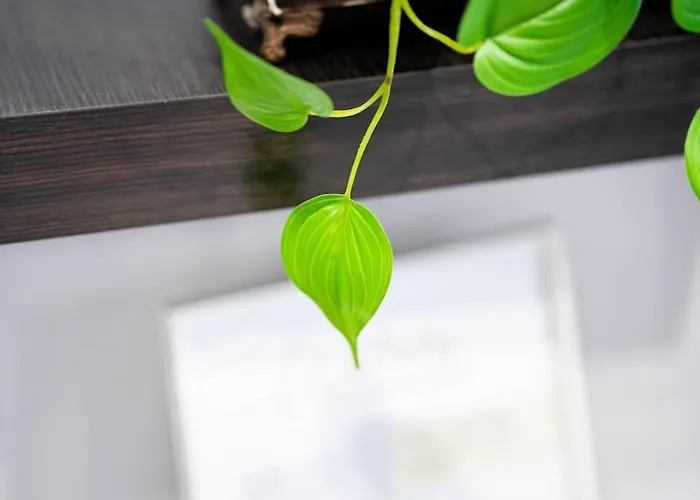 Atico Coqueto En Marbella, Cerca Puerto Banus